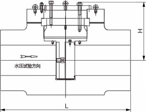 水壓試驗(yàn)堵閥結(jié)構(gòu)示意圖